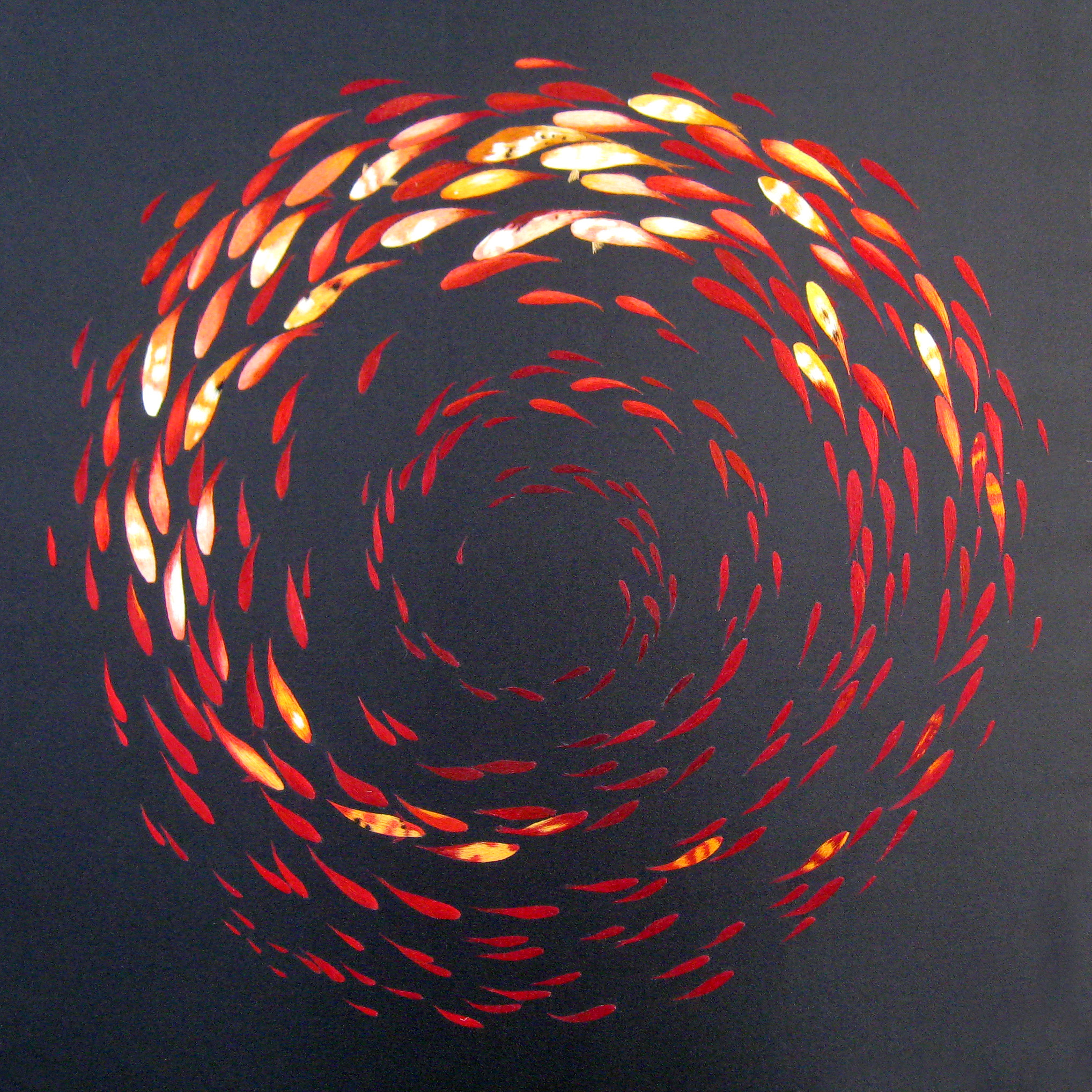 72003