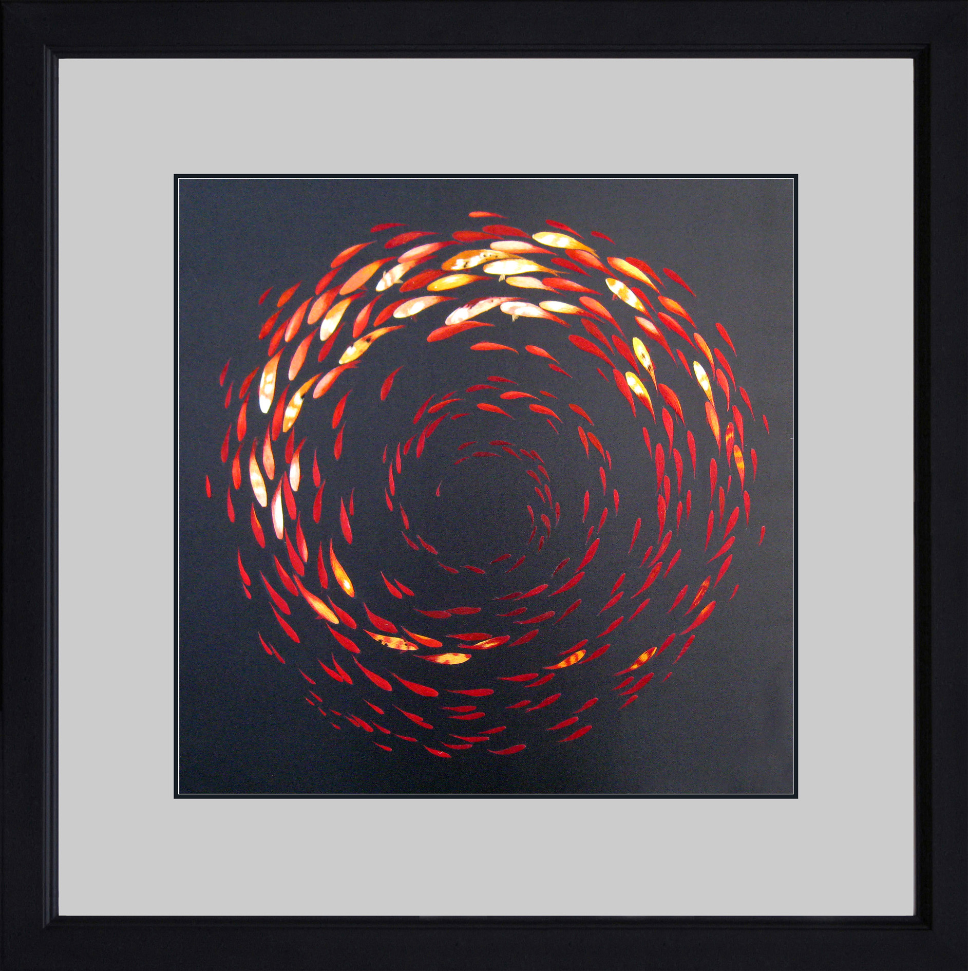 72003 50-50cm