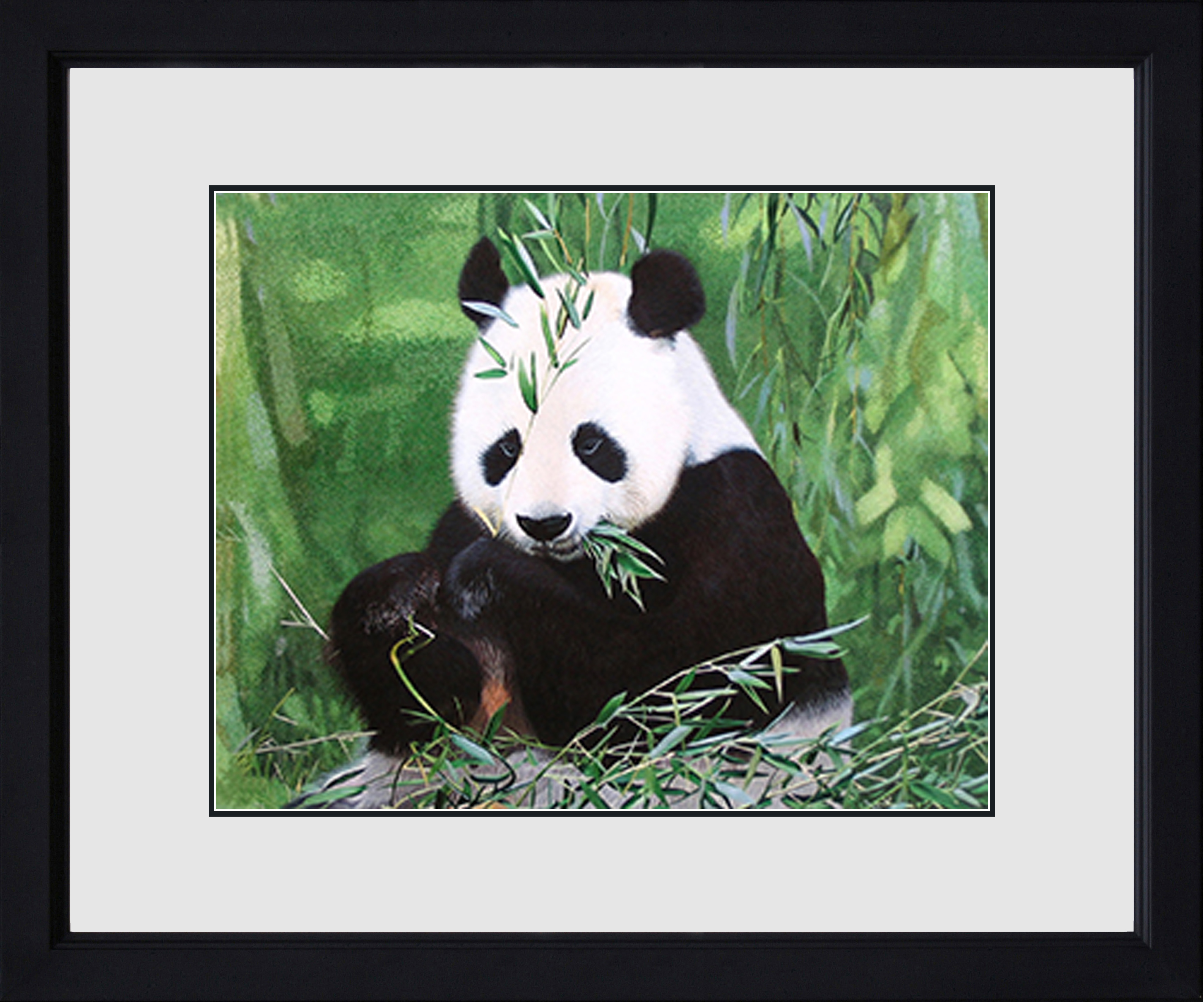 74005 40x50 cm master black frame