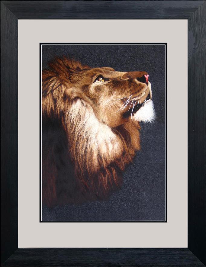 74009 50x70cm