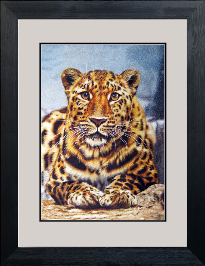 74020 50x70cm