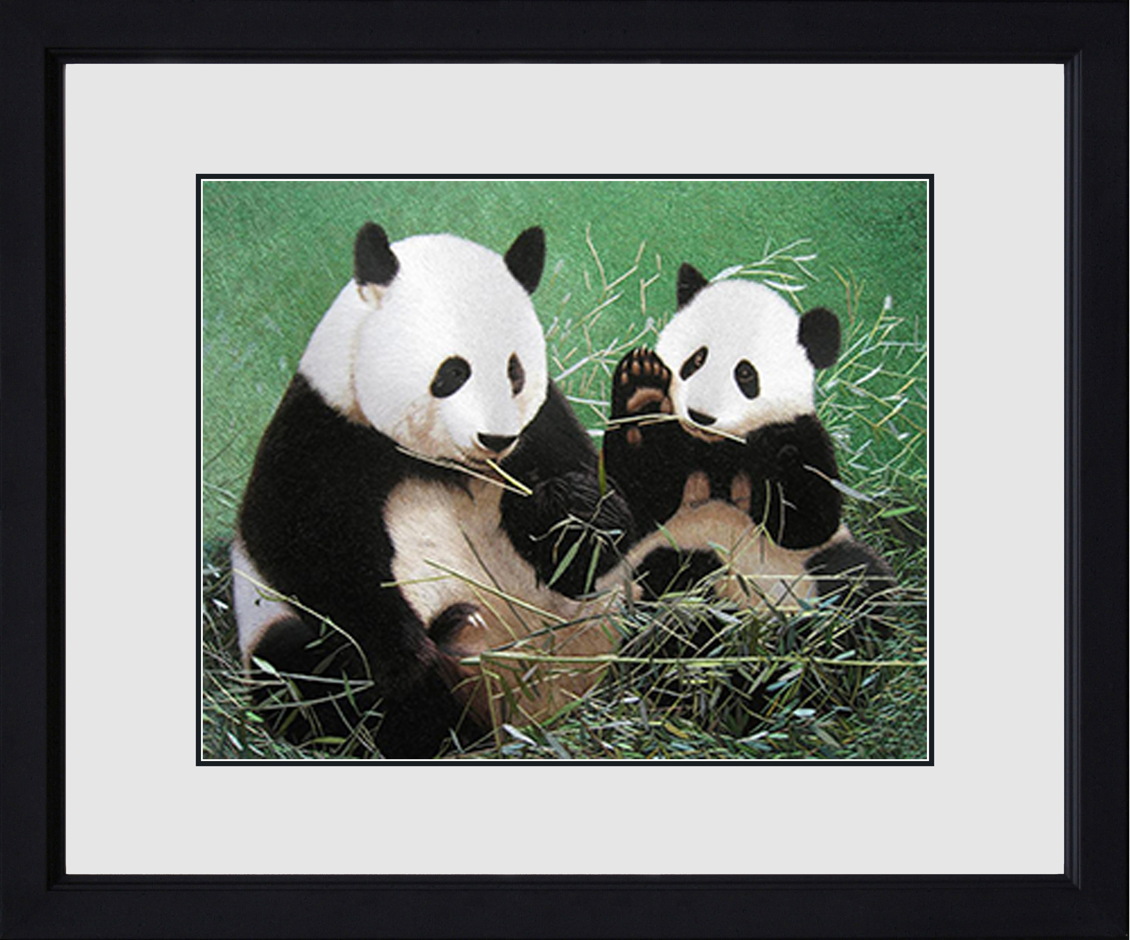 74063 40x50 cm master black frame