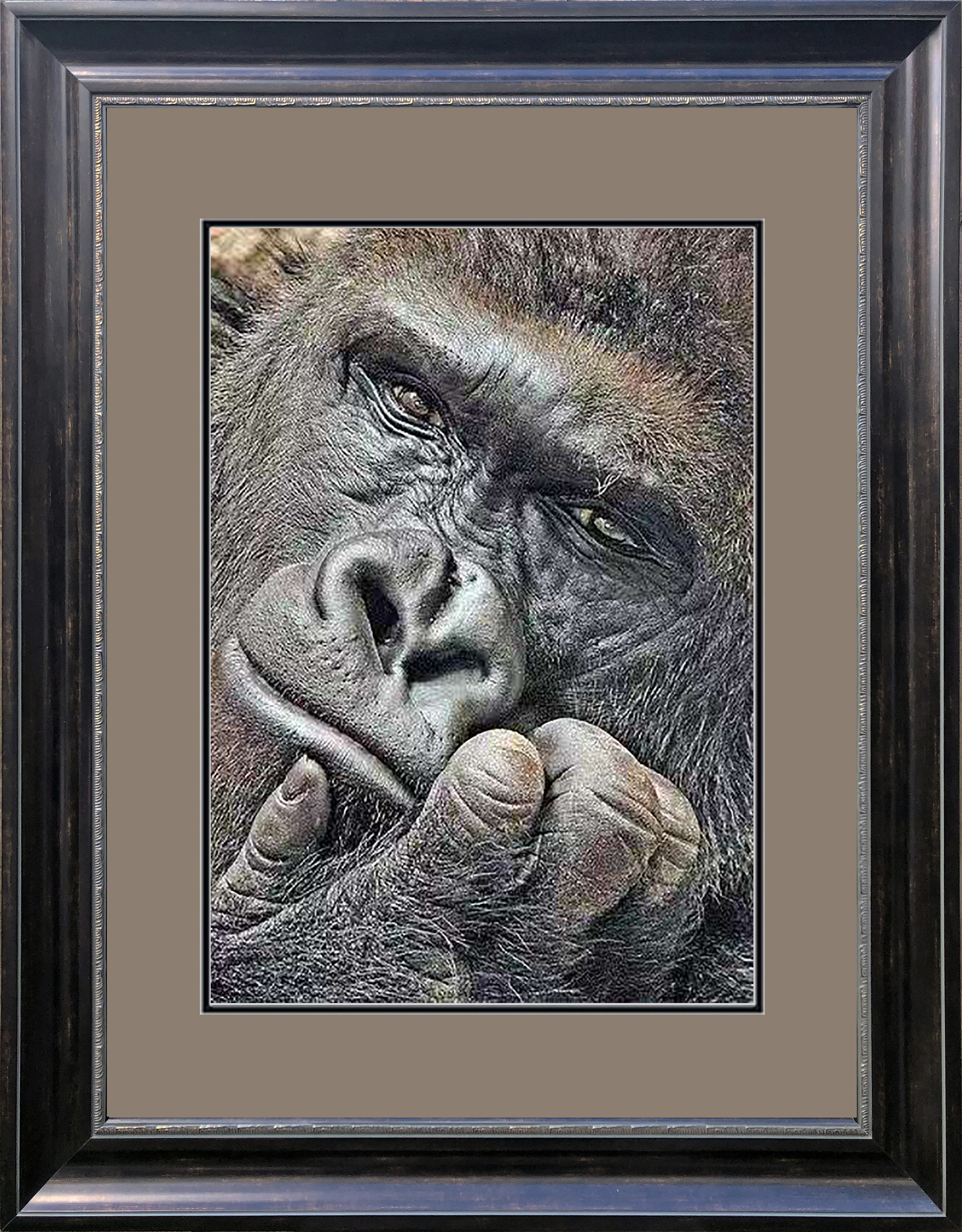74158 50x70cm Museum brown frame