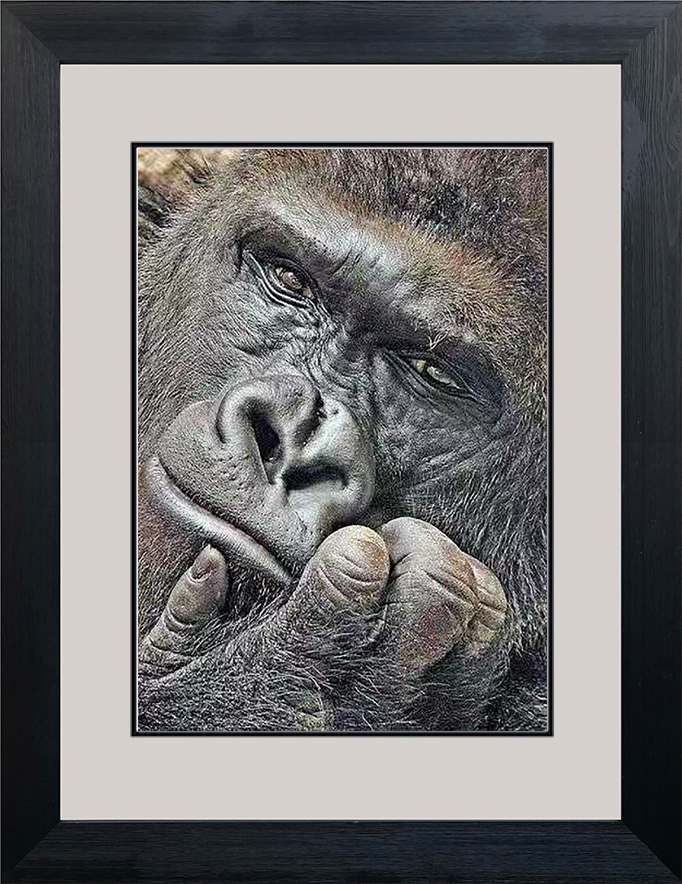 74158 50x70cm