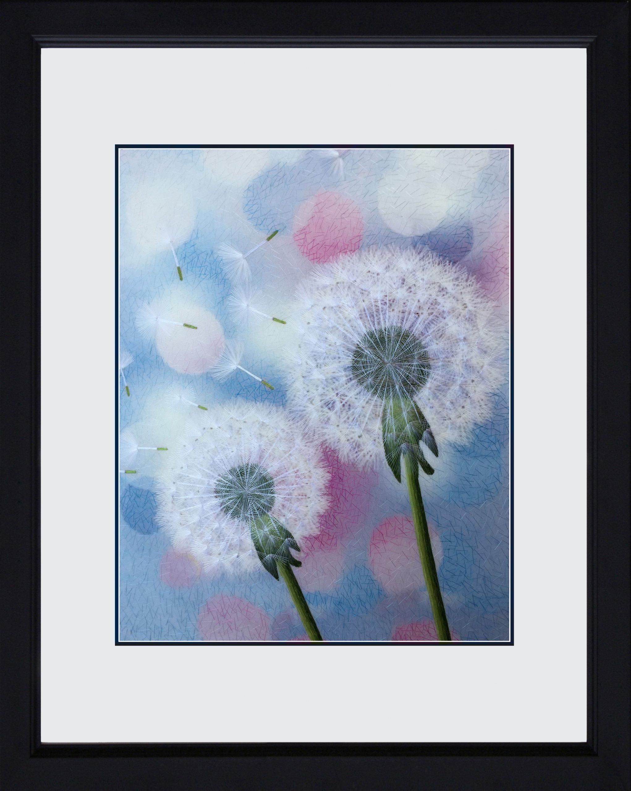 76005-black framed
