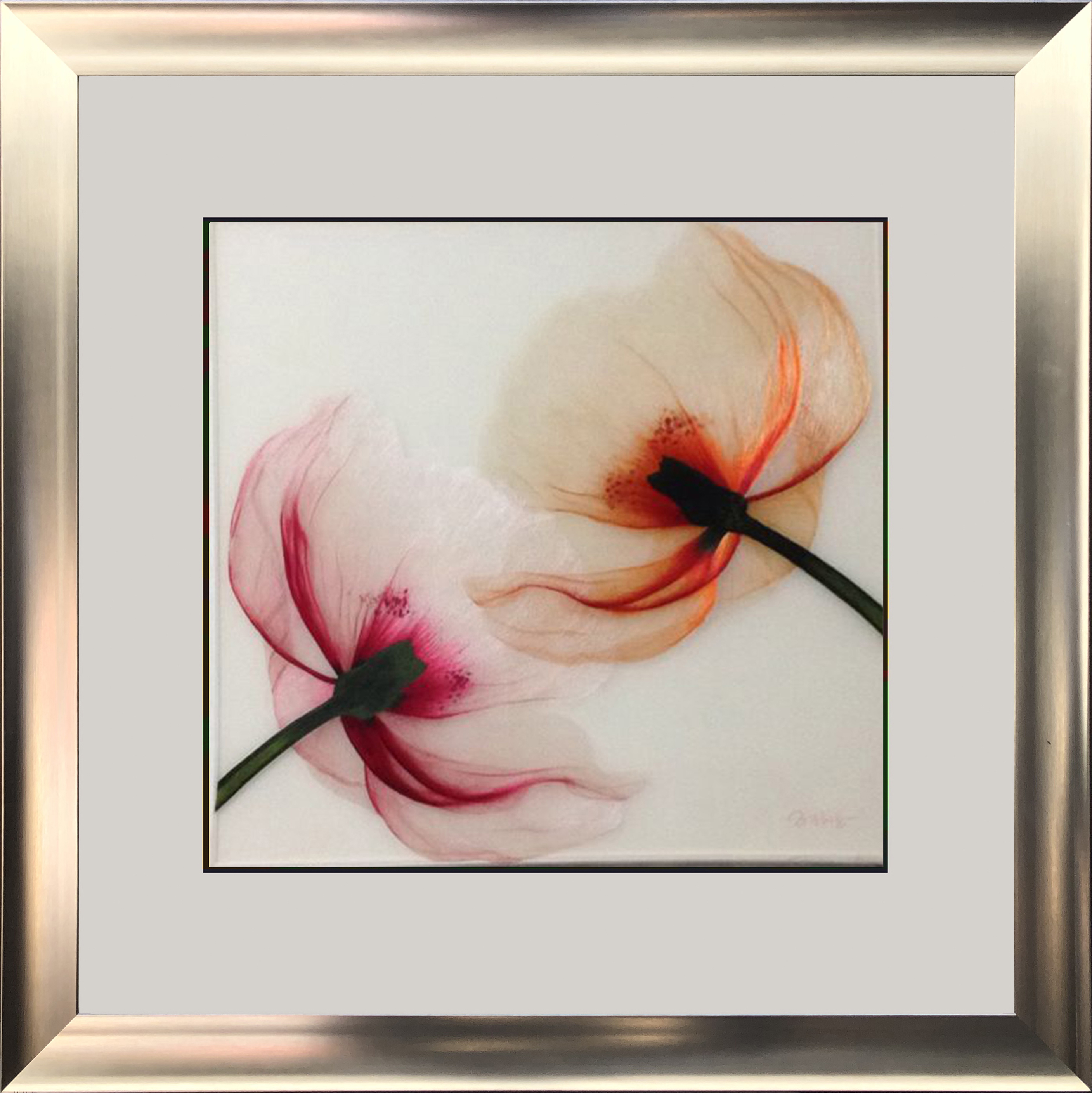 76009 50x50cm silver frame