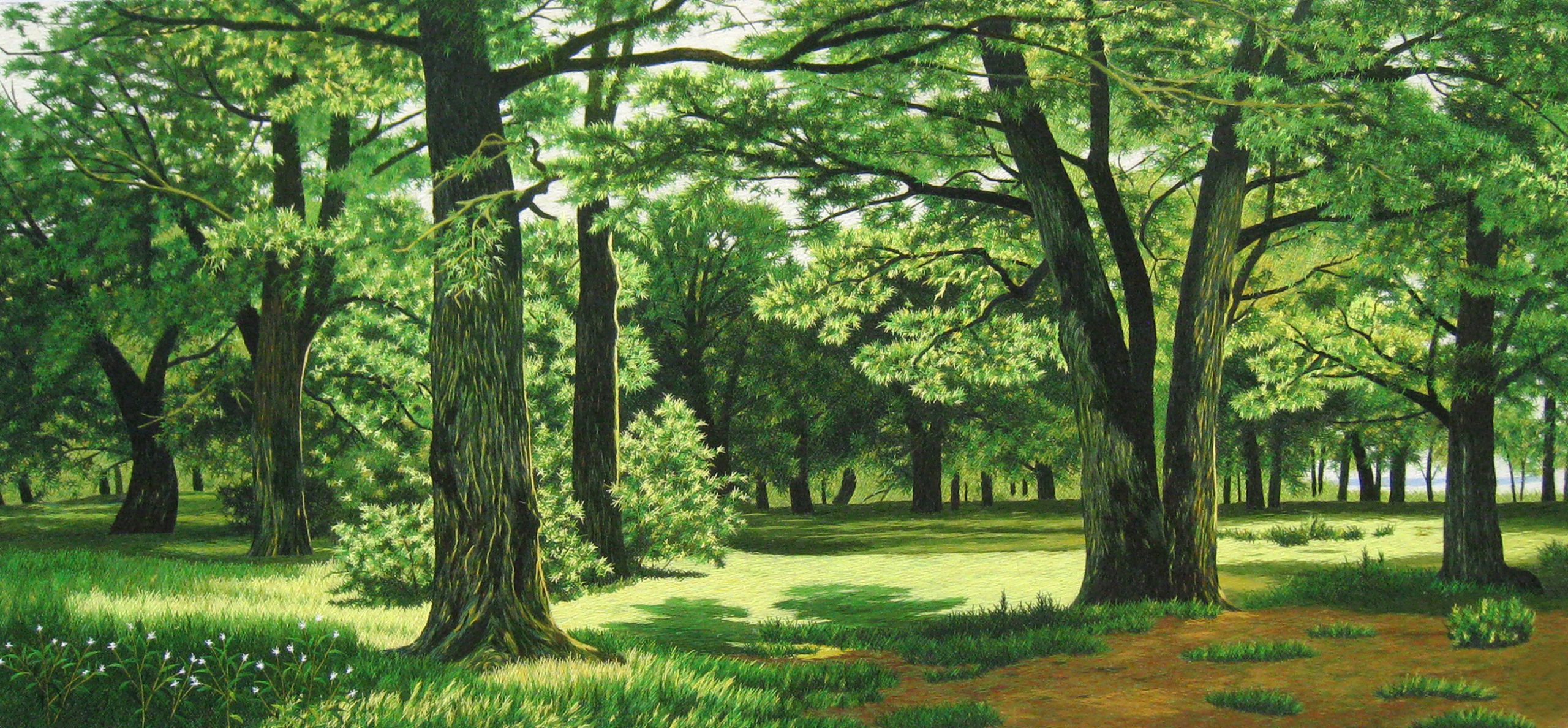77054 Pine Tree Forest