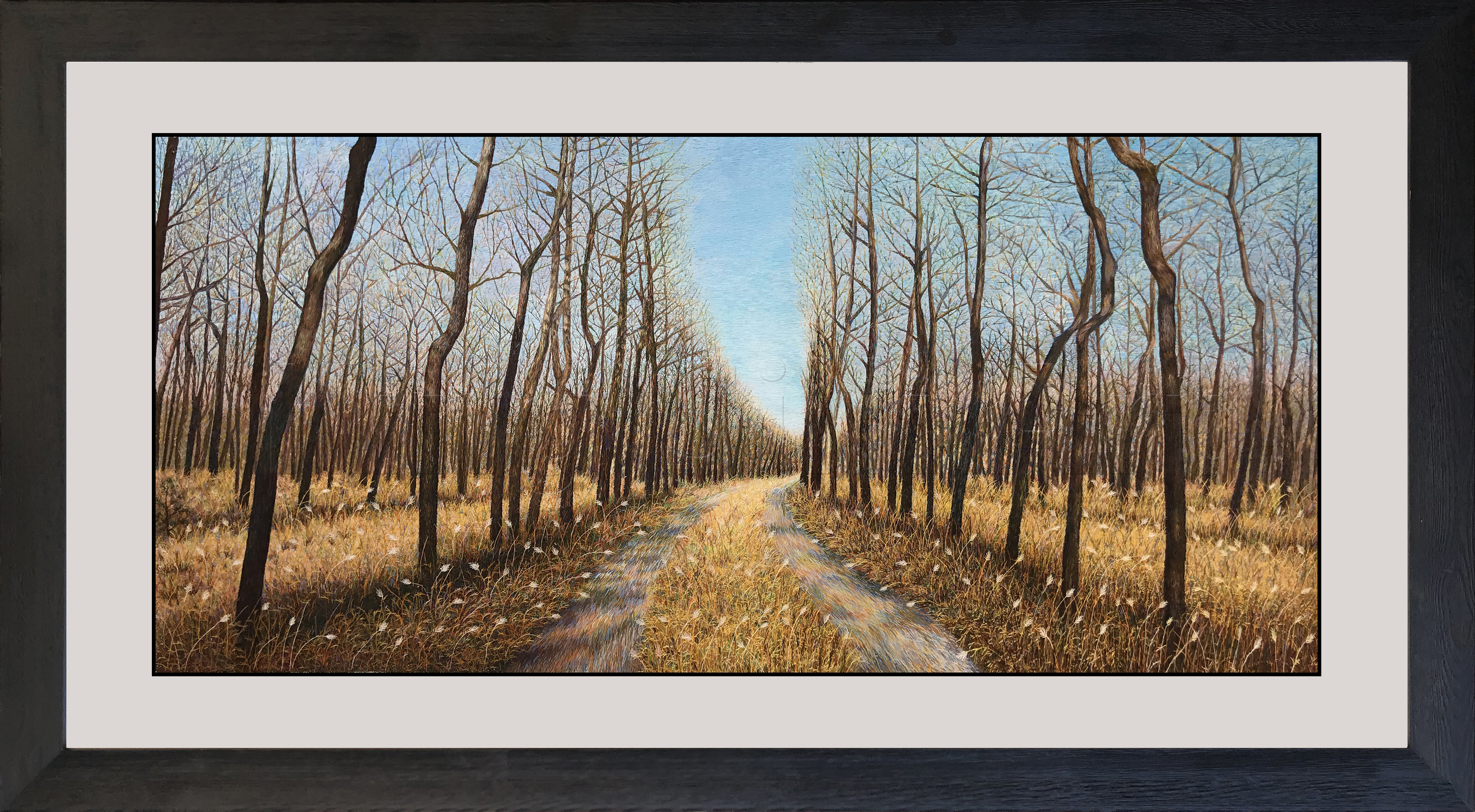 77199 60x130cm museum black frame