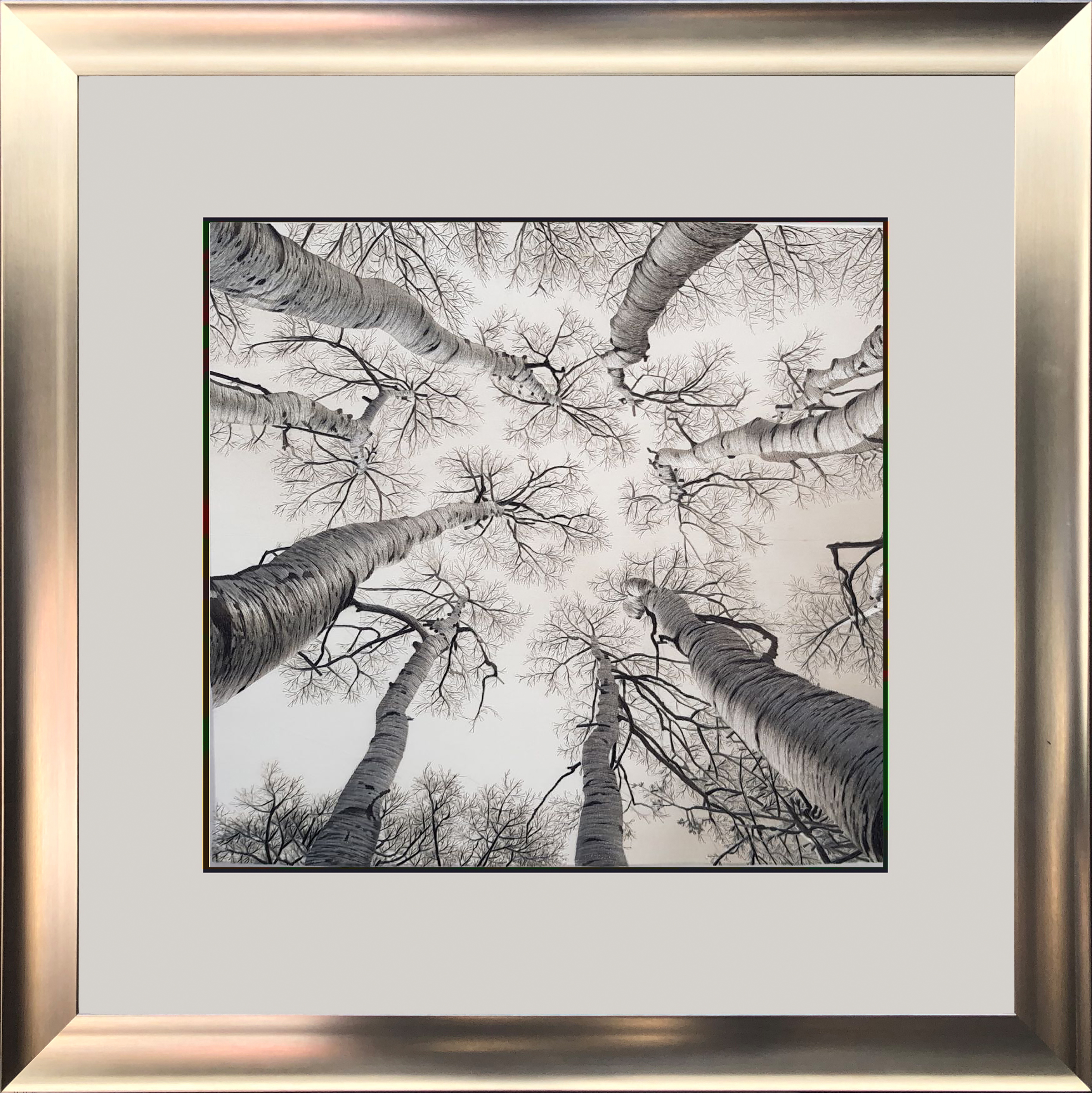 87302 50x50cm silver frame