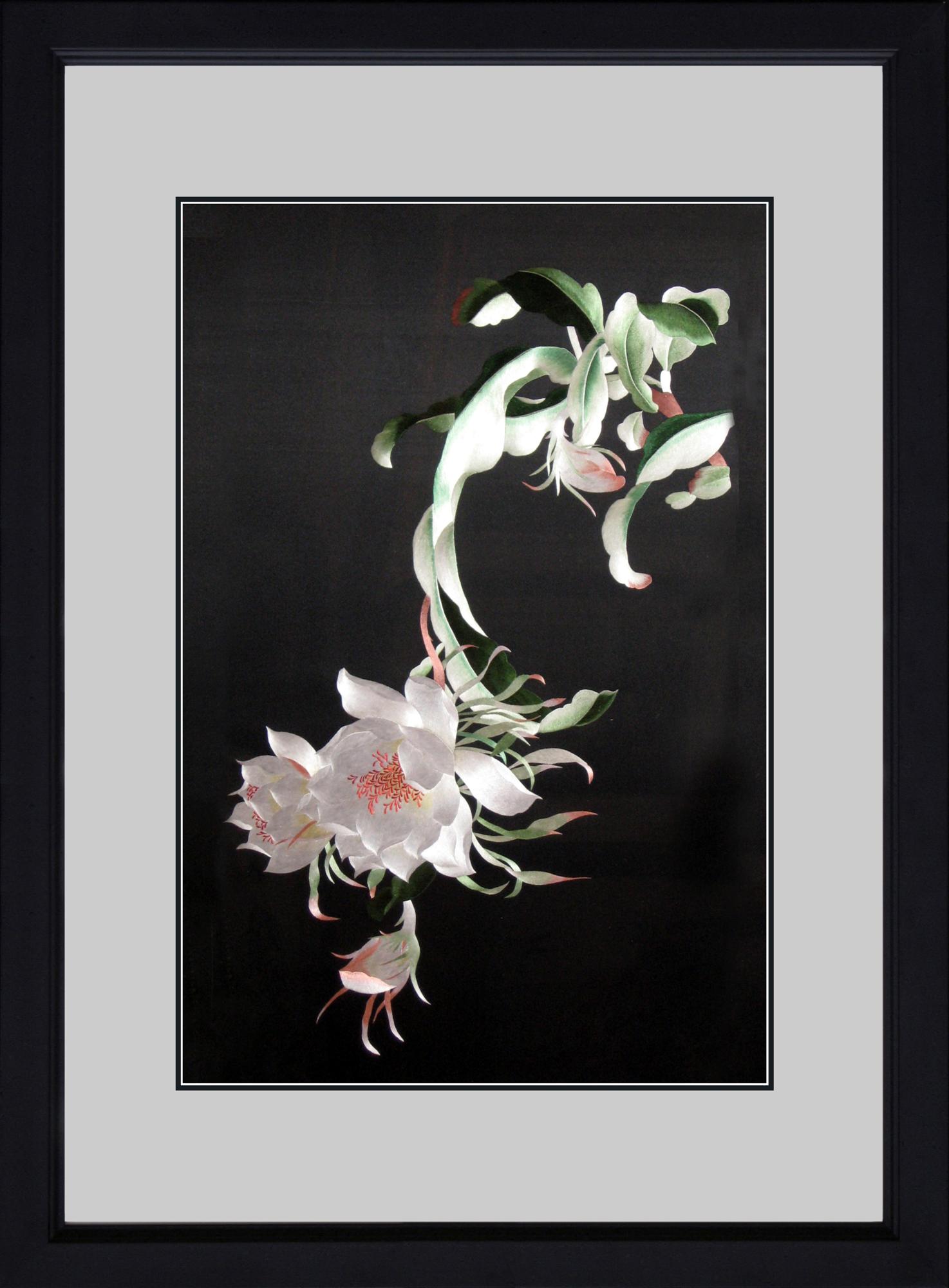 76053 framed