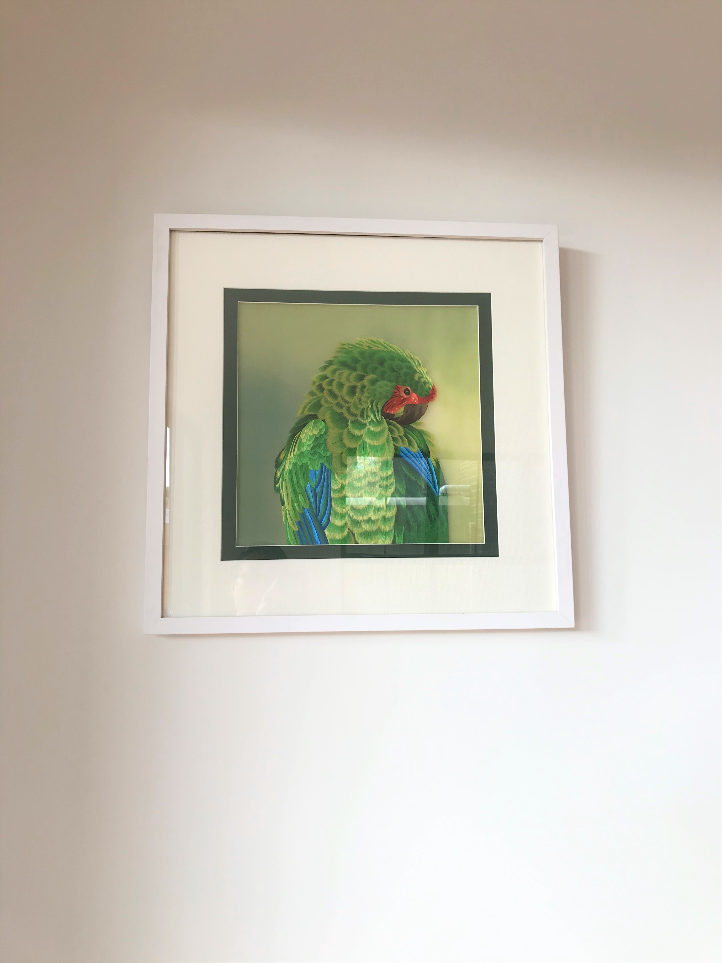81027 white frame 1