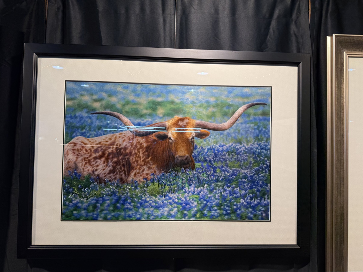 Custom Order – Texas Longhorn
