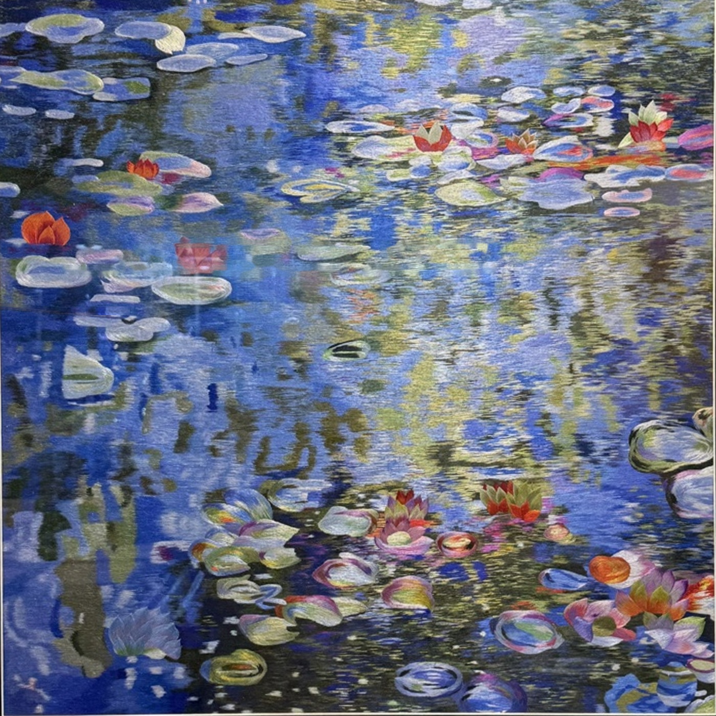 Water Lilies in Bloom