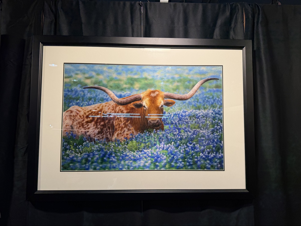Texas Longhorn in Bluebonnets - Image 4