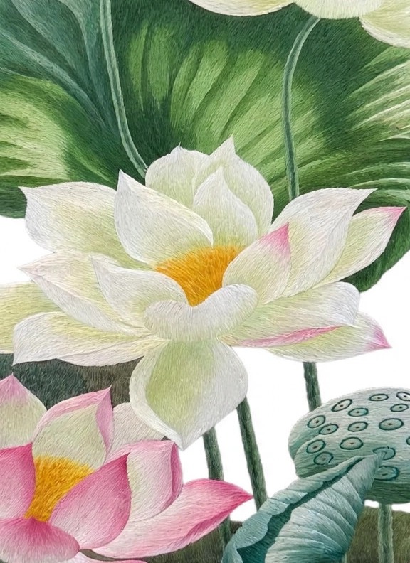 Lotus Flowers - Image 3