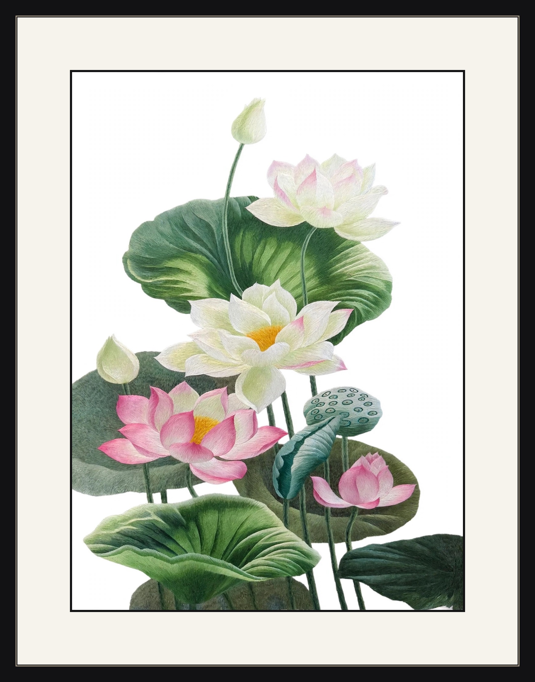 Lotus Flowers - Image 2