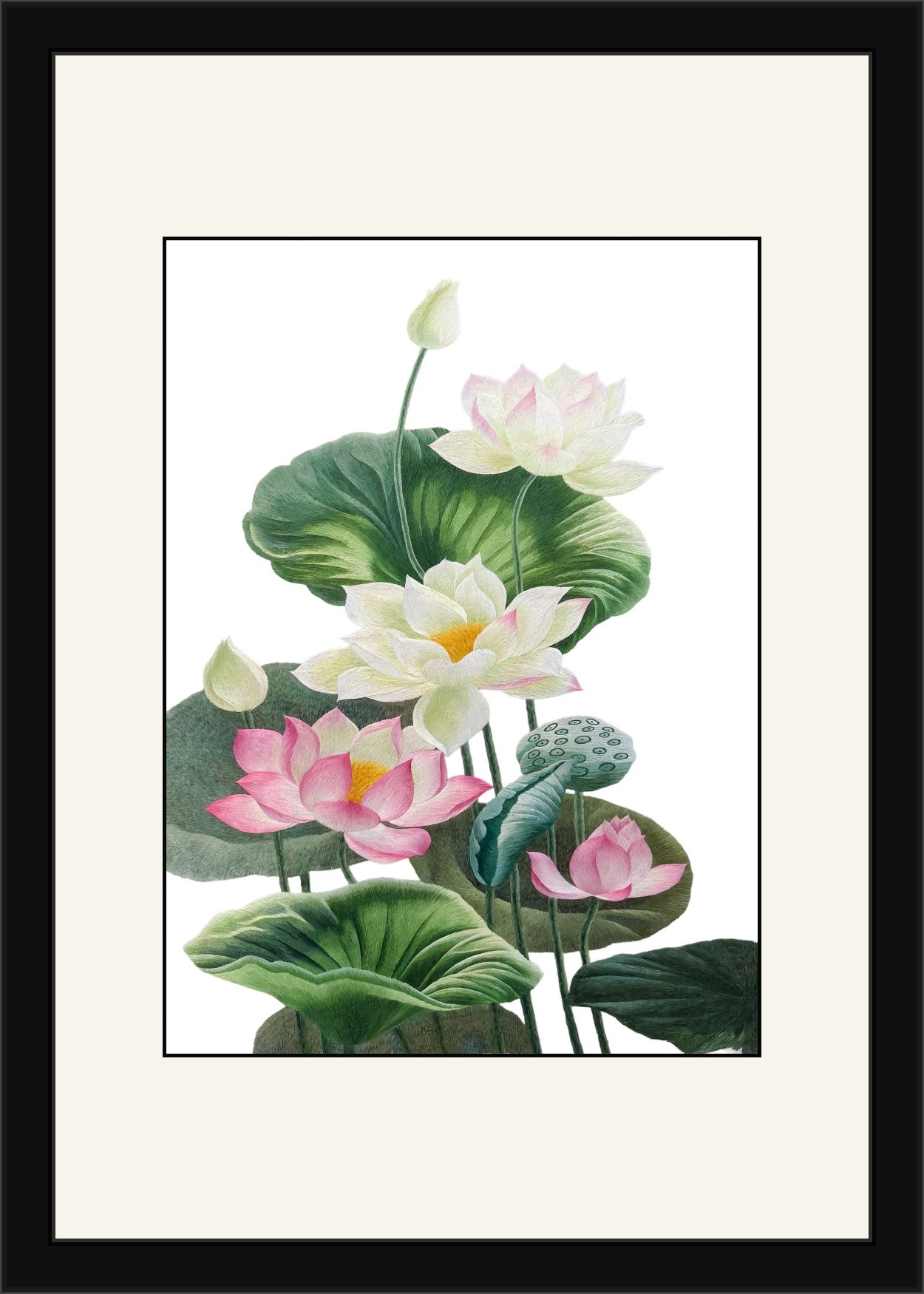 lotus-flowers-framed-v6
