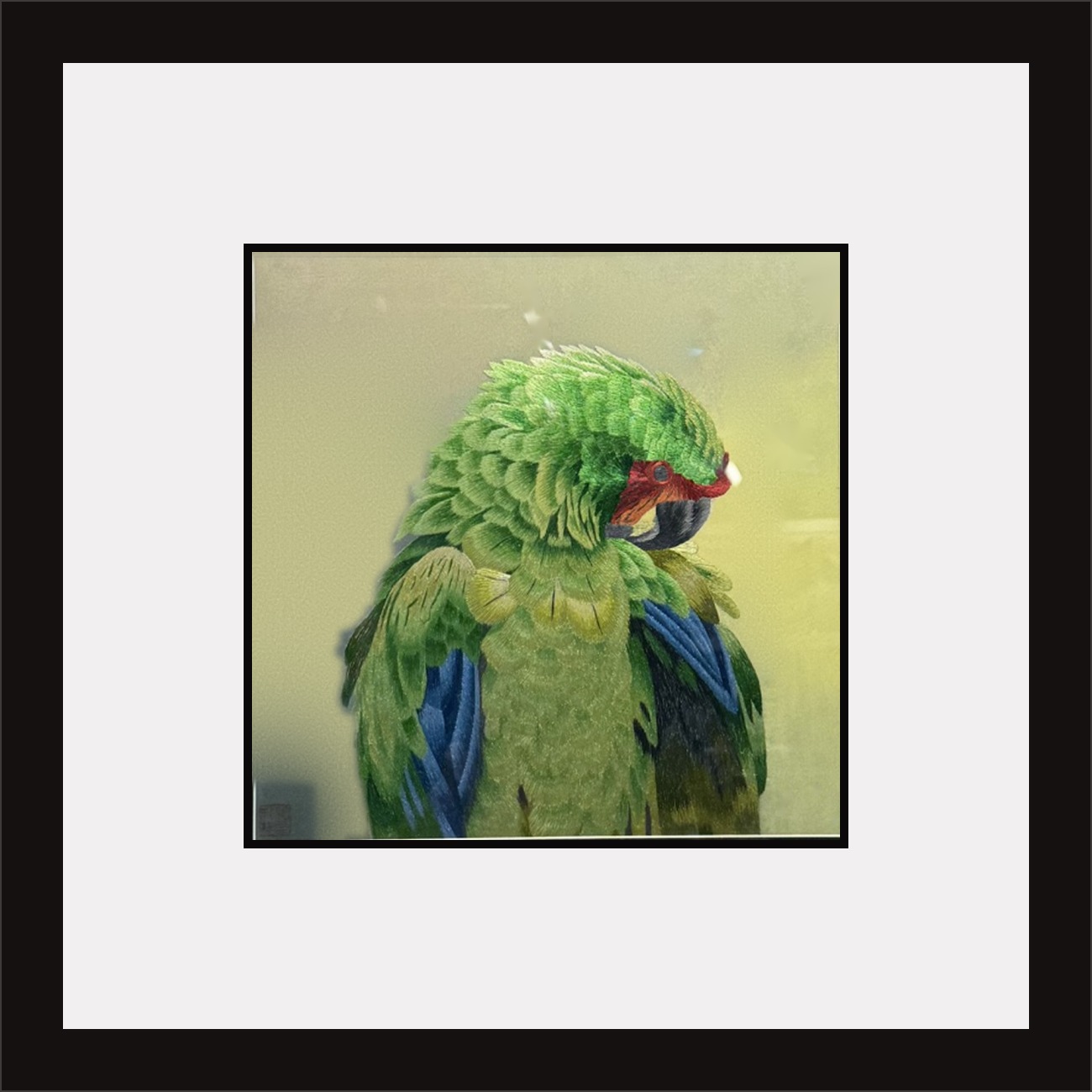 parrot-framed