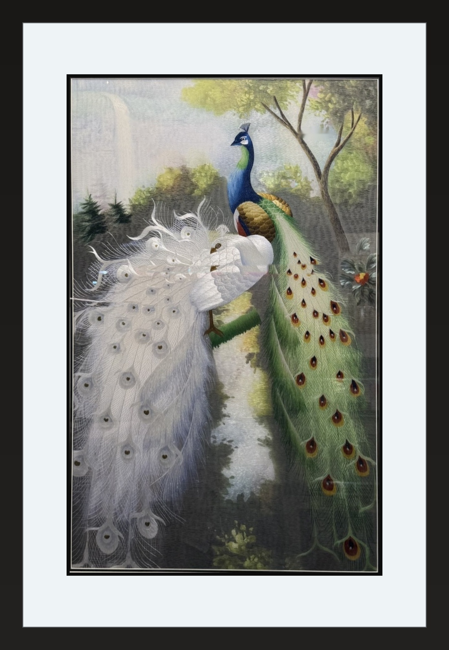 peacock-pair-framed