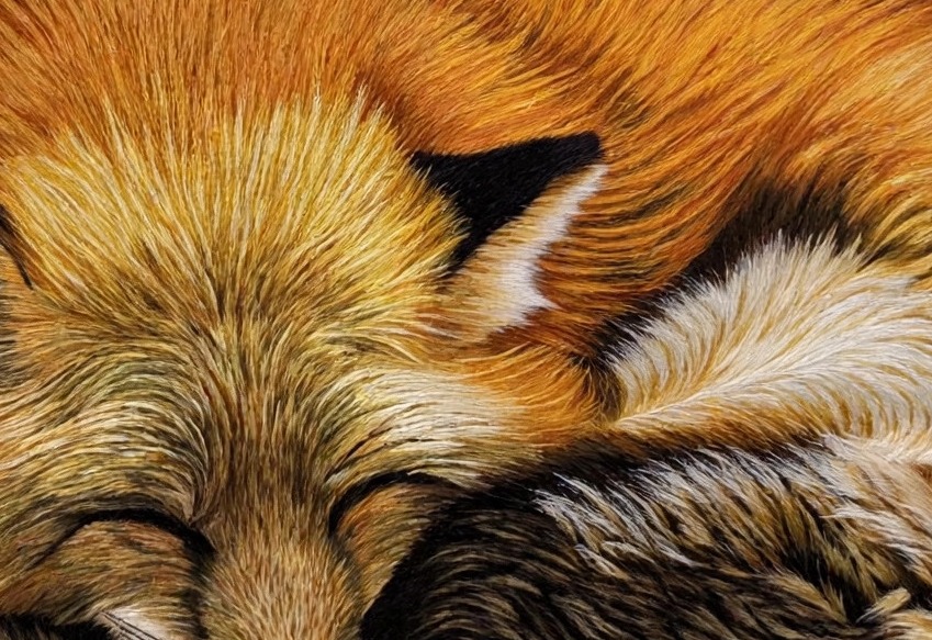The Sleeping Fox - Image 3