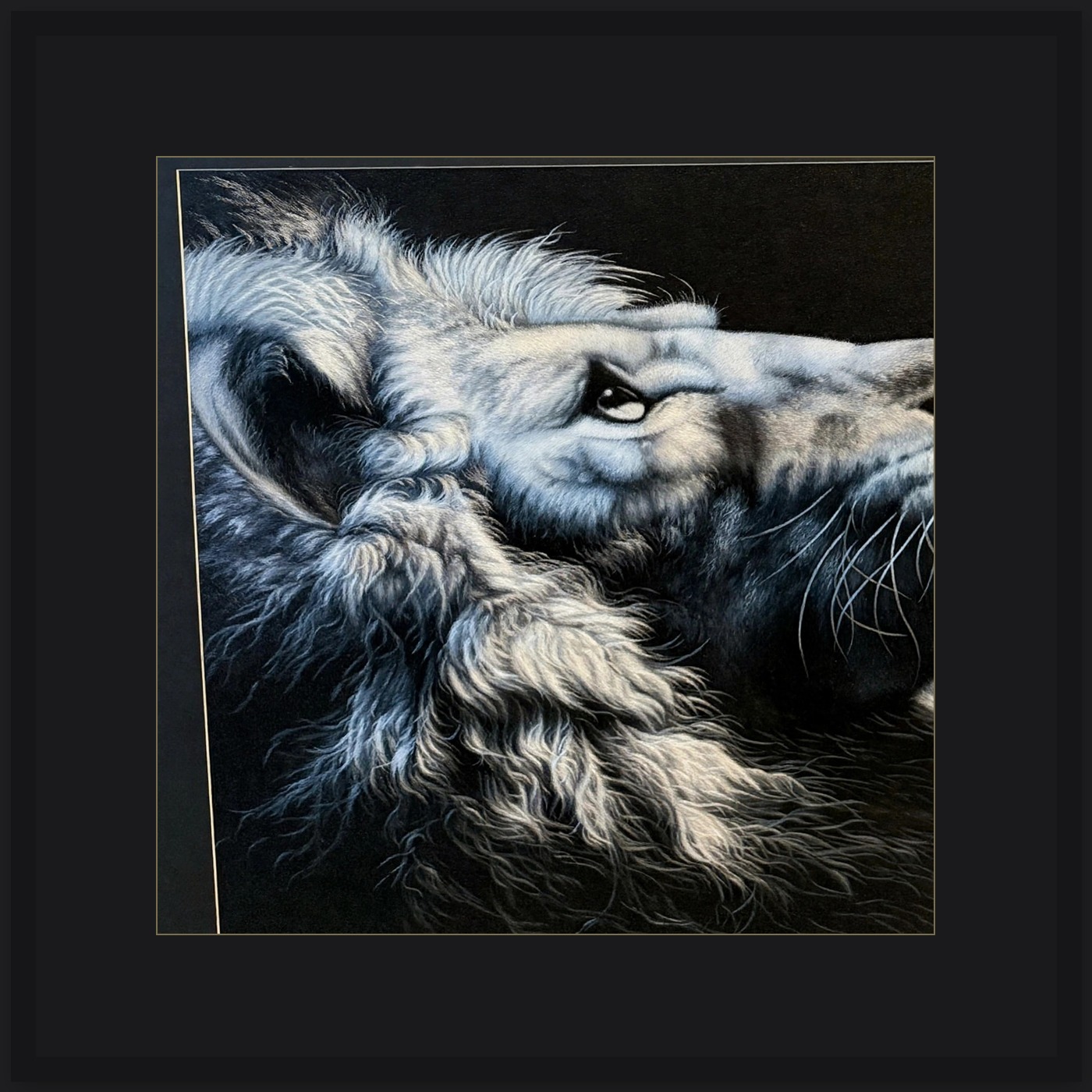 white-lion-framed-clean