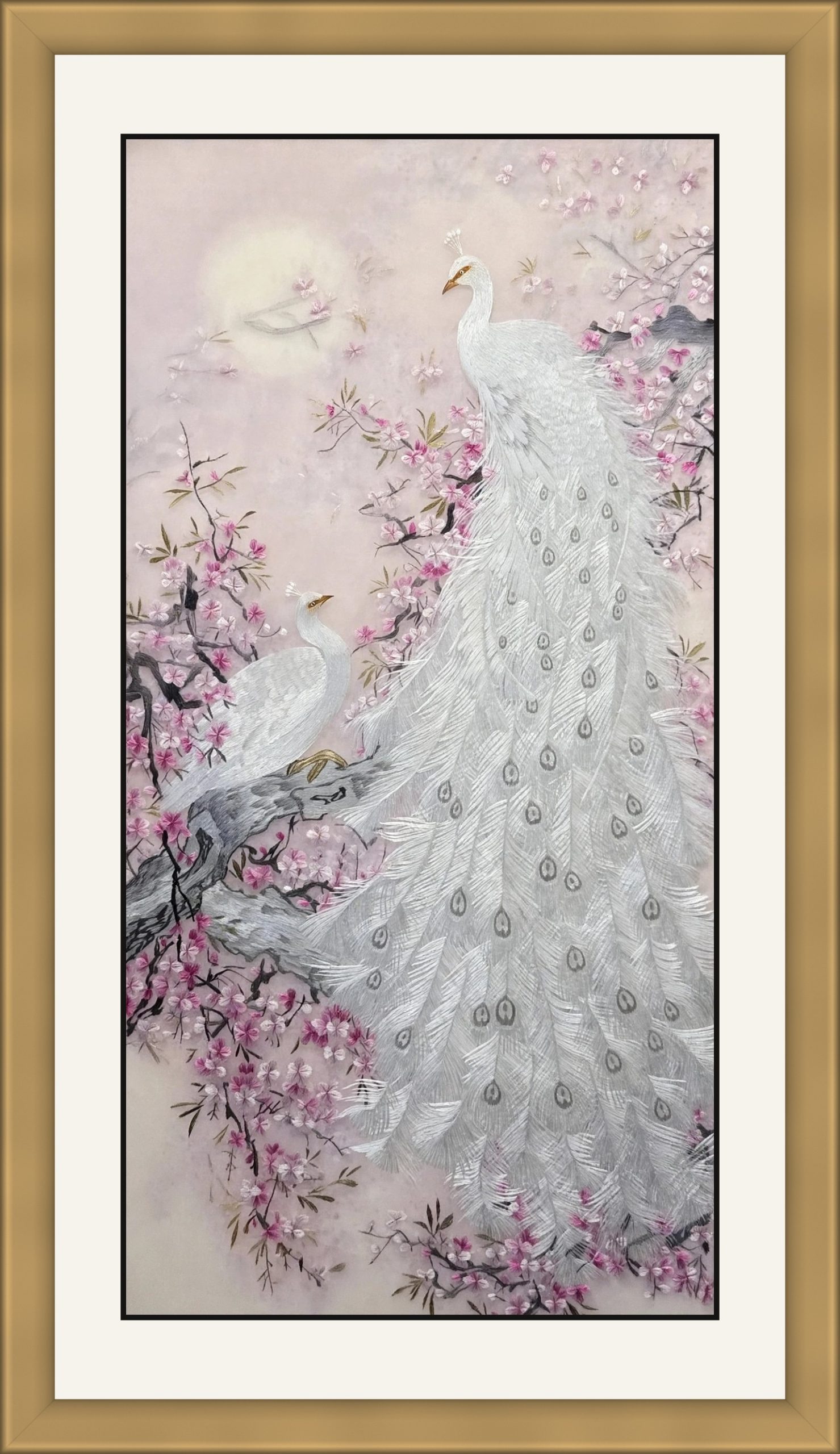 white-peacock-framed-gold